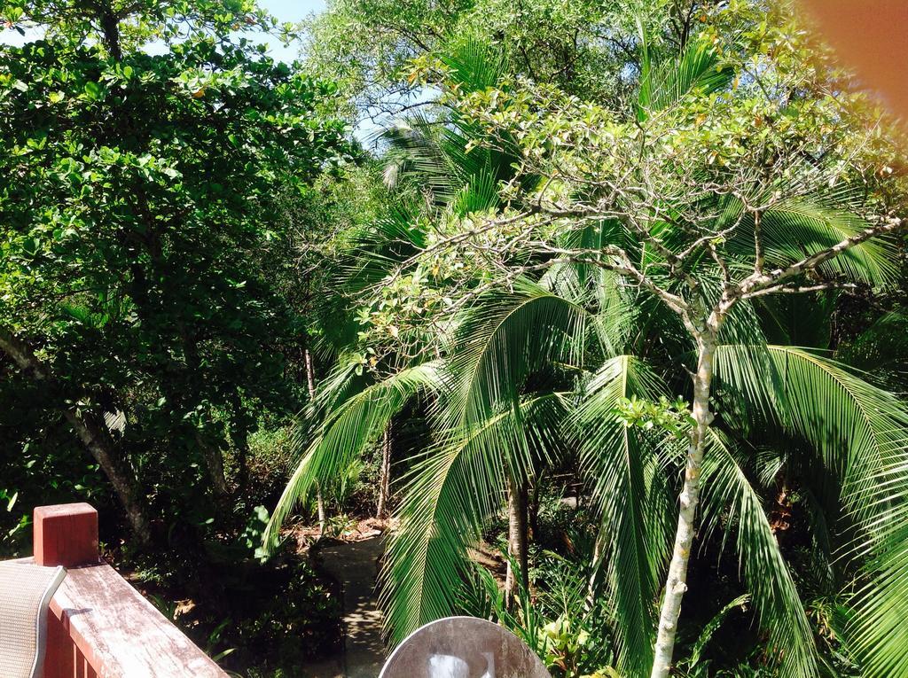 Casa Manglar Villa Puerto Jimenez Luaran gambar