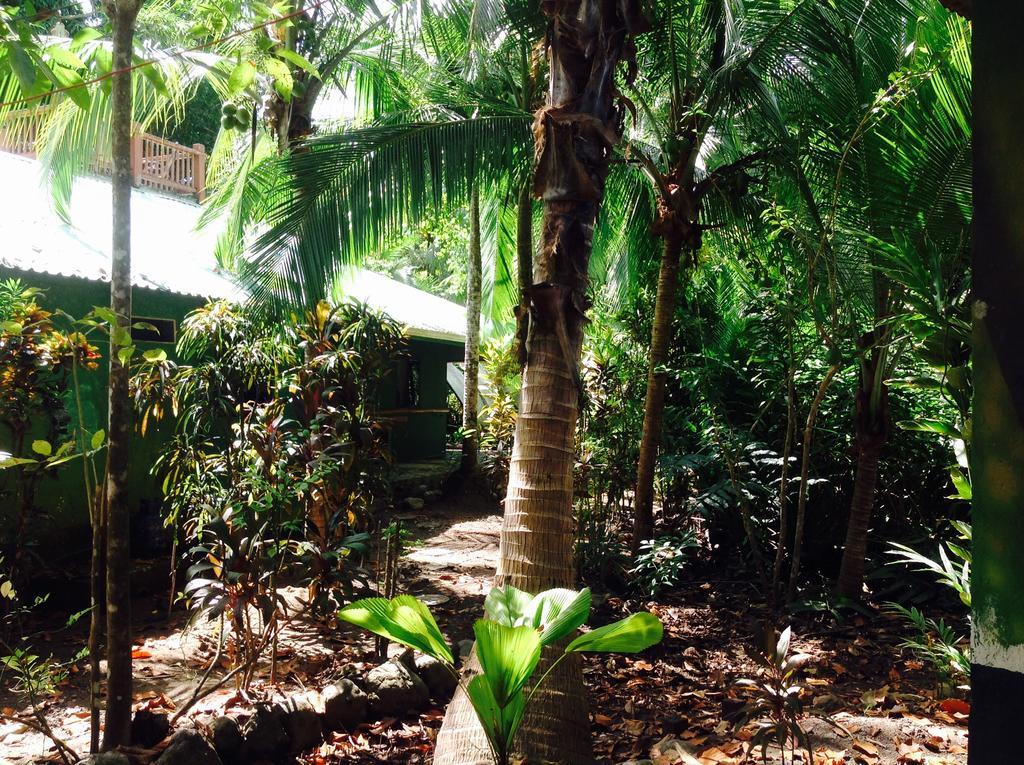 Casa Manglar Villa Puerto Jimenez Luaran gambar